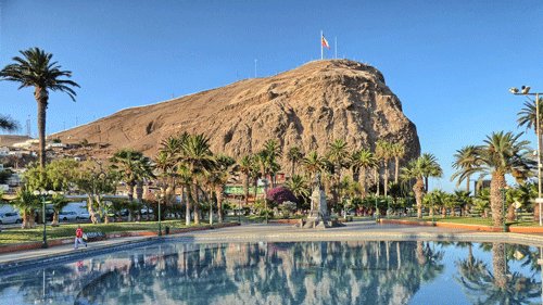 Arica